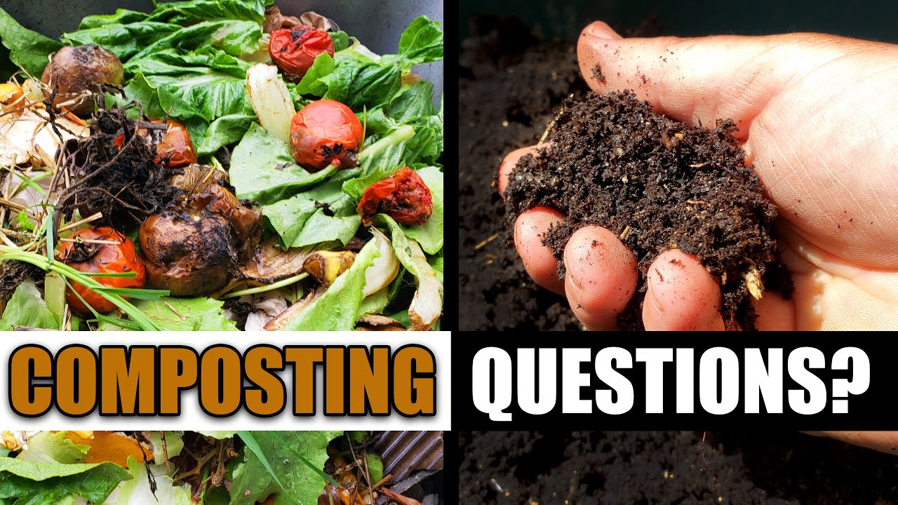 Your Top 6 Composting Questions Answered!