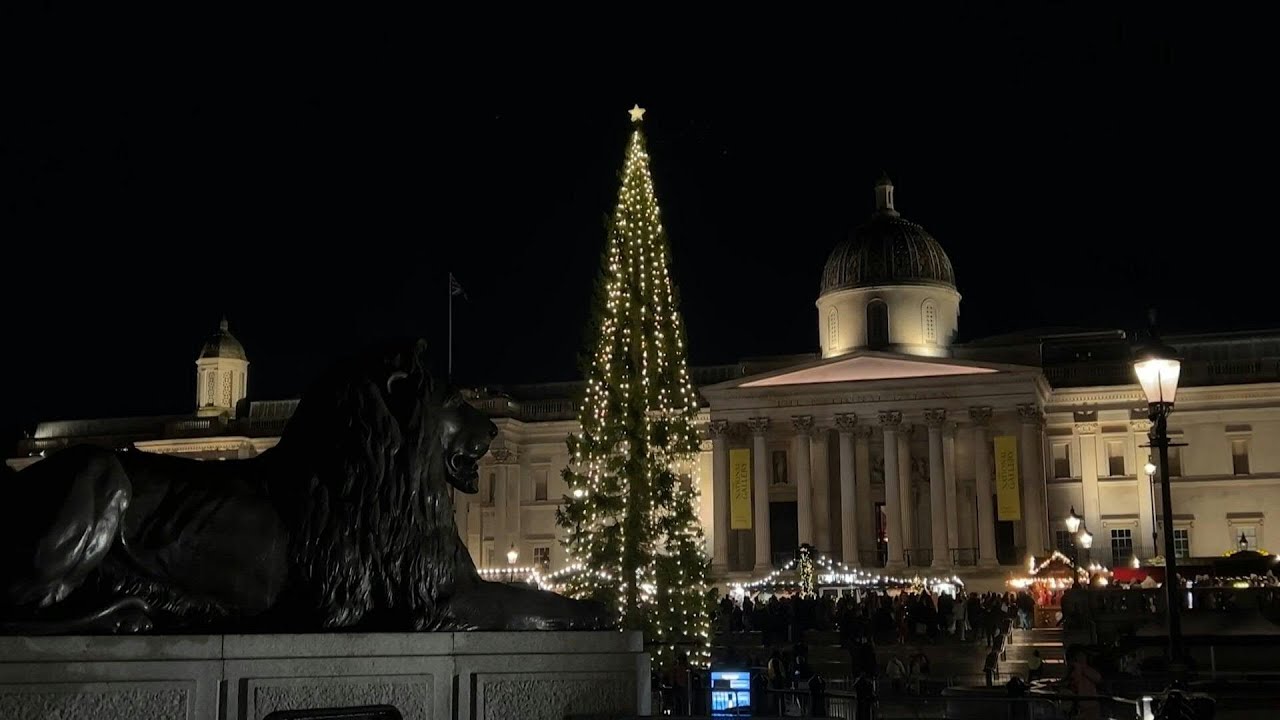 Christmas tree gifted by Norway lights up London's Trafalgar Square | AFP
