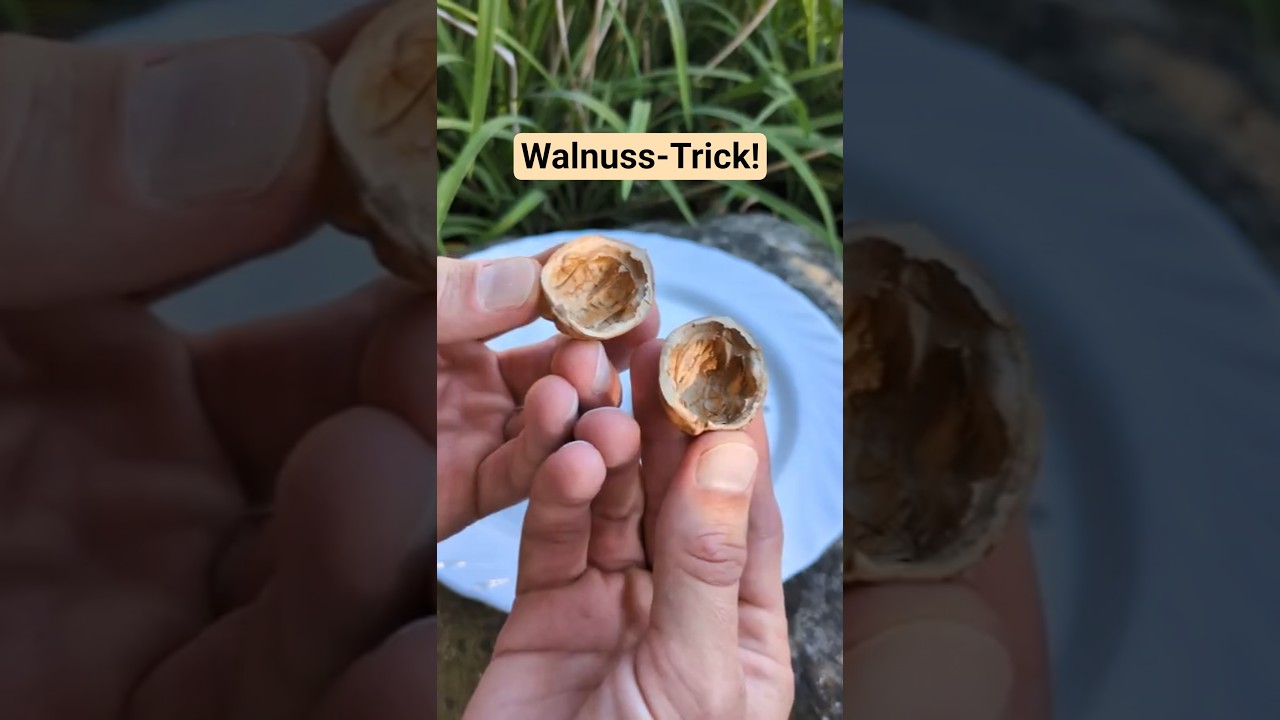so knackt man Waln&uuml;sse in 2 perfekte H&auml;lften! #garten #lifehacks #tipps #diy