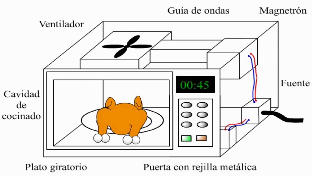 &iquest;C&oacute;mo funciona un horno de microondas? / microwave