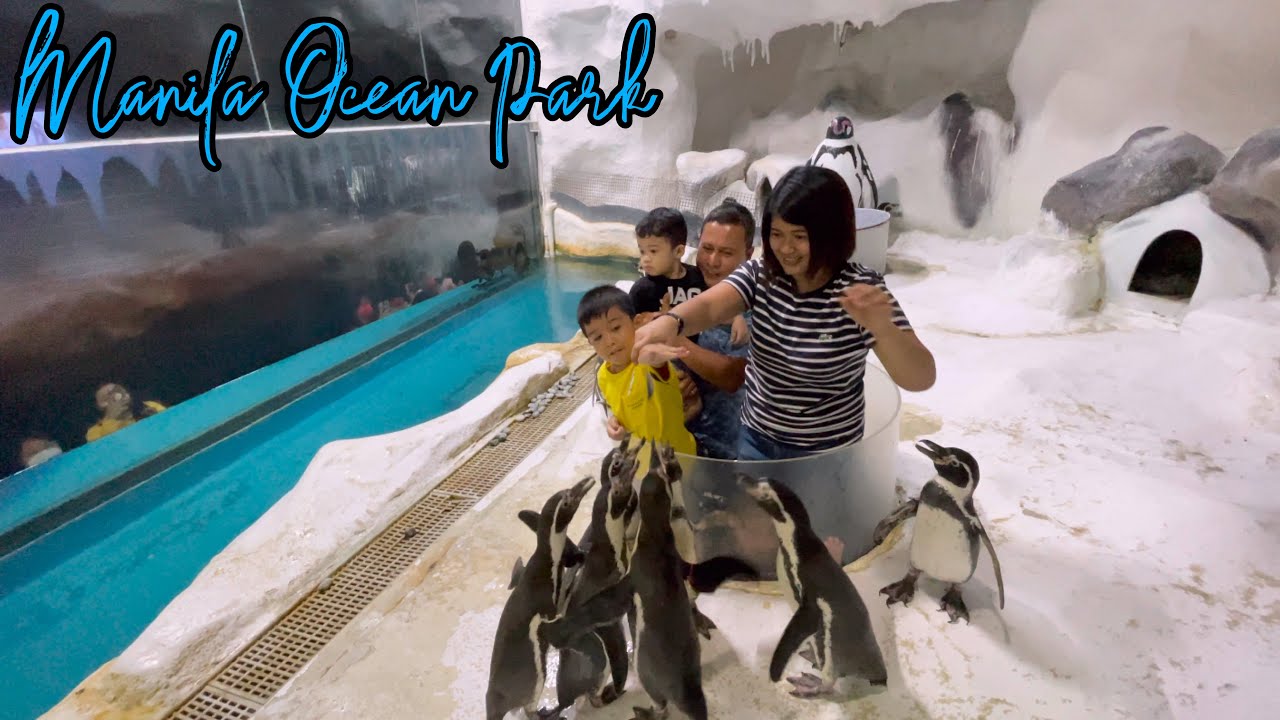 NEW MANILA OCEAN PARK 2022 #newmanila #manilaoceanpark