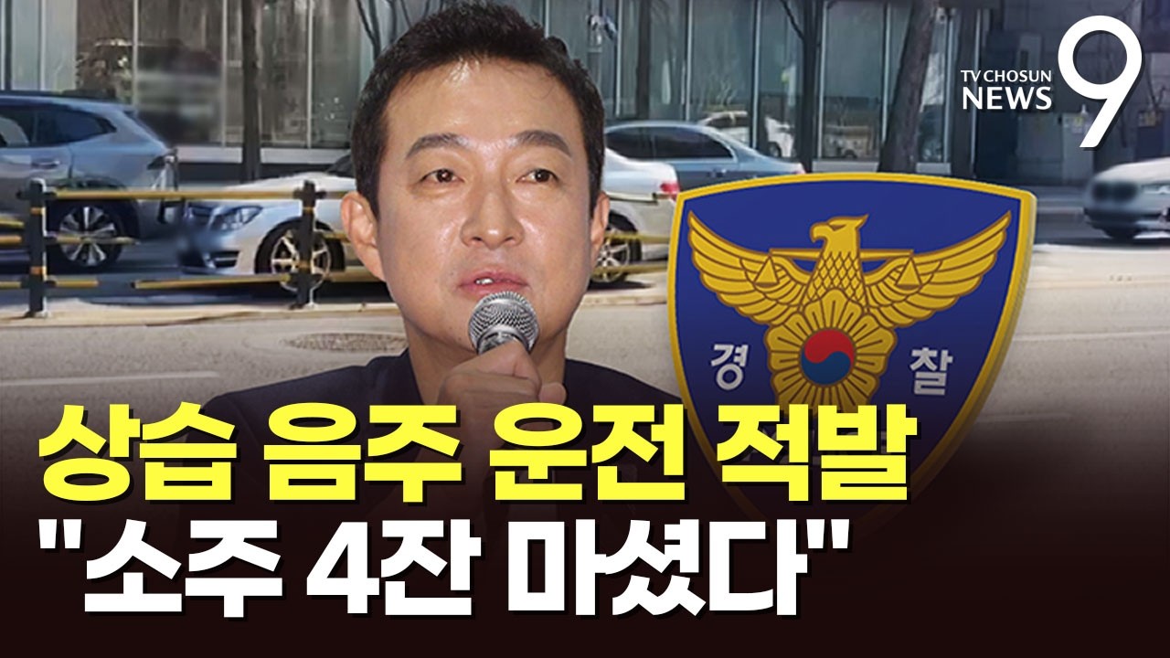 이재룡, 음주 운전 인정 