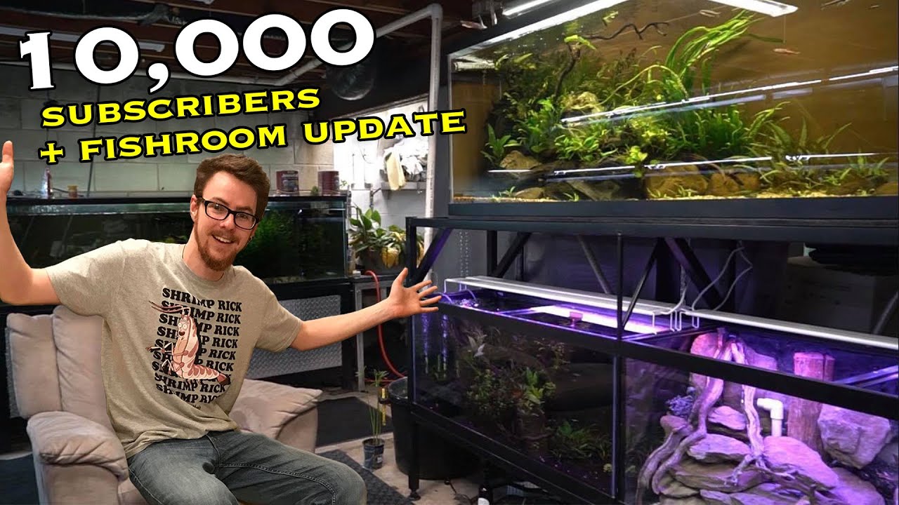 10,000 SUBS! Plus Shrimp Room Progress