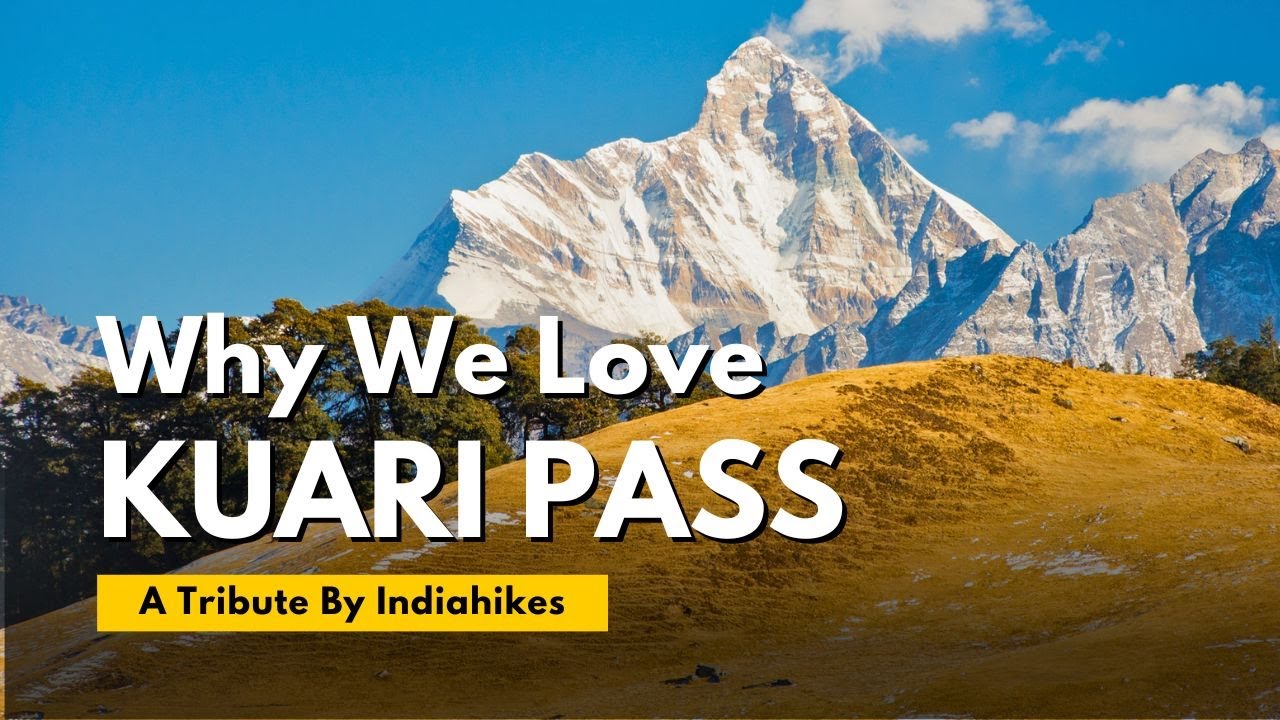Why We Love Kuari Pass Trek | A Tribute by Indiahikes