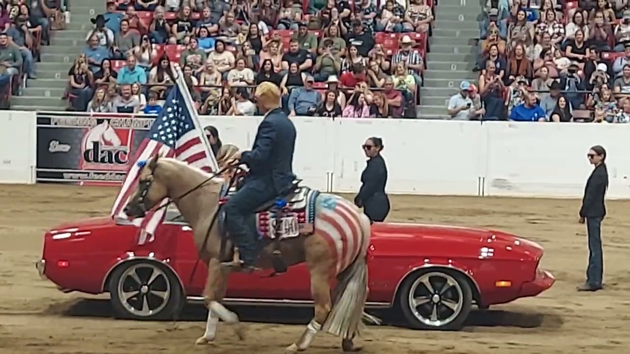 Incredible Trump tribute performance at QH Congress Freestyle Reining 2025