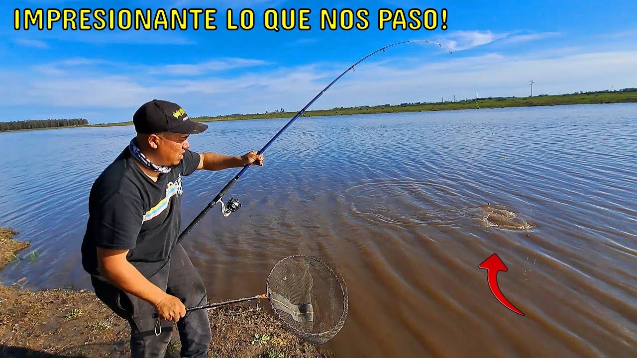 PESCA de PECES gigantes en un ARROYO al costado de LA RUTA. TERRIBLE FUE ESTA PESCA!
