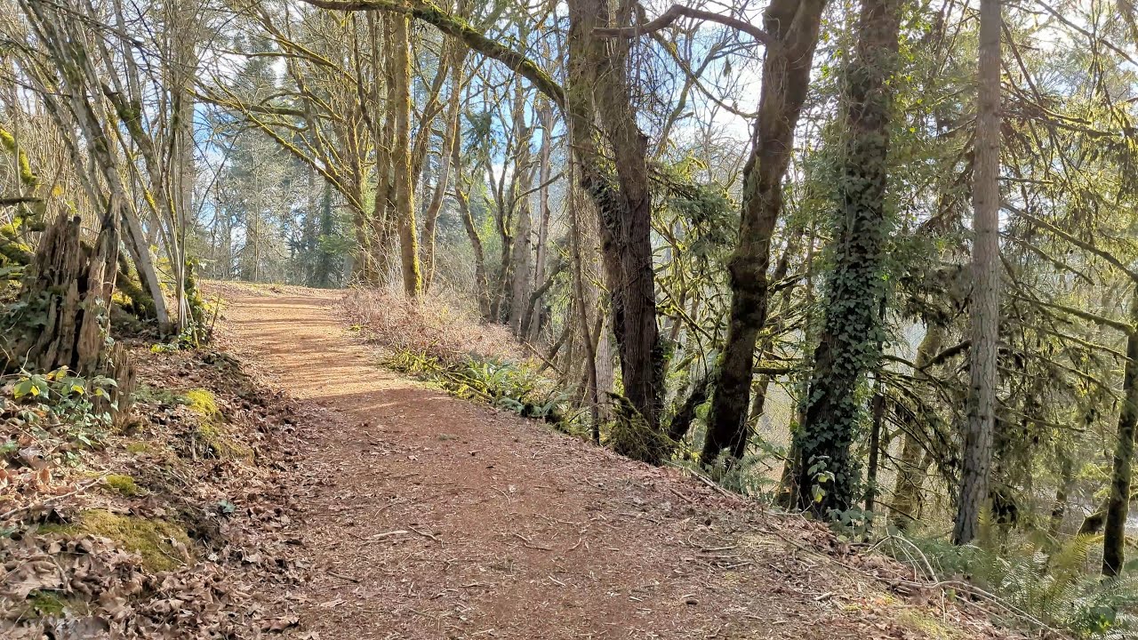 Ewing Young Park – Clear Winter Afternoon Sun | Quiet Solo Walk