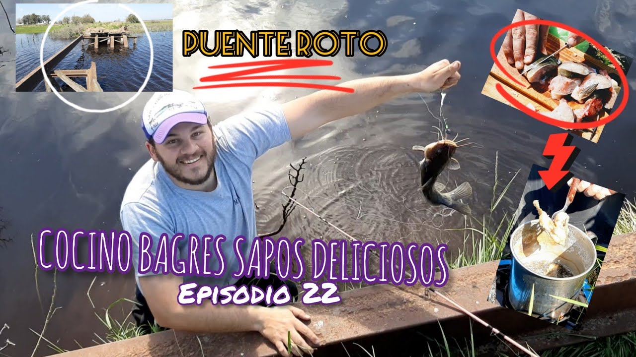 PESCA Y COCINA en ARROYO Abbott, Bagres 100% DELICIOSOS Ep.22 MJ-PESCA