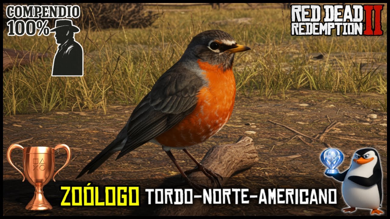 Red Dead Redemption 2: Tordo Norte Americano + Compêndio 100% | Troféu Zoólogo