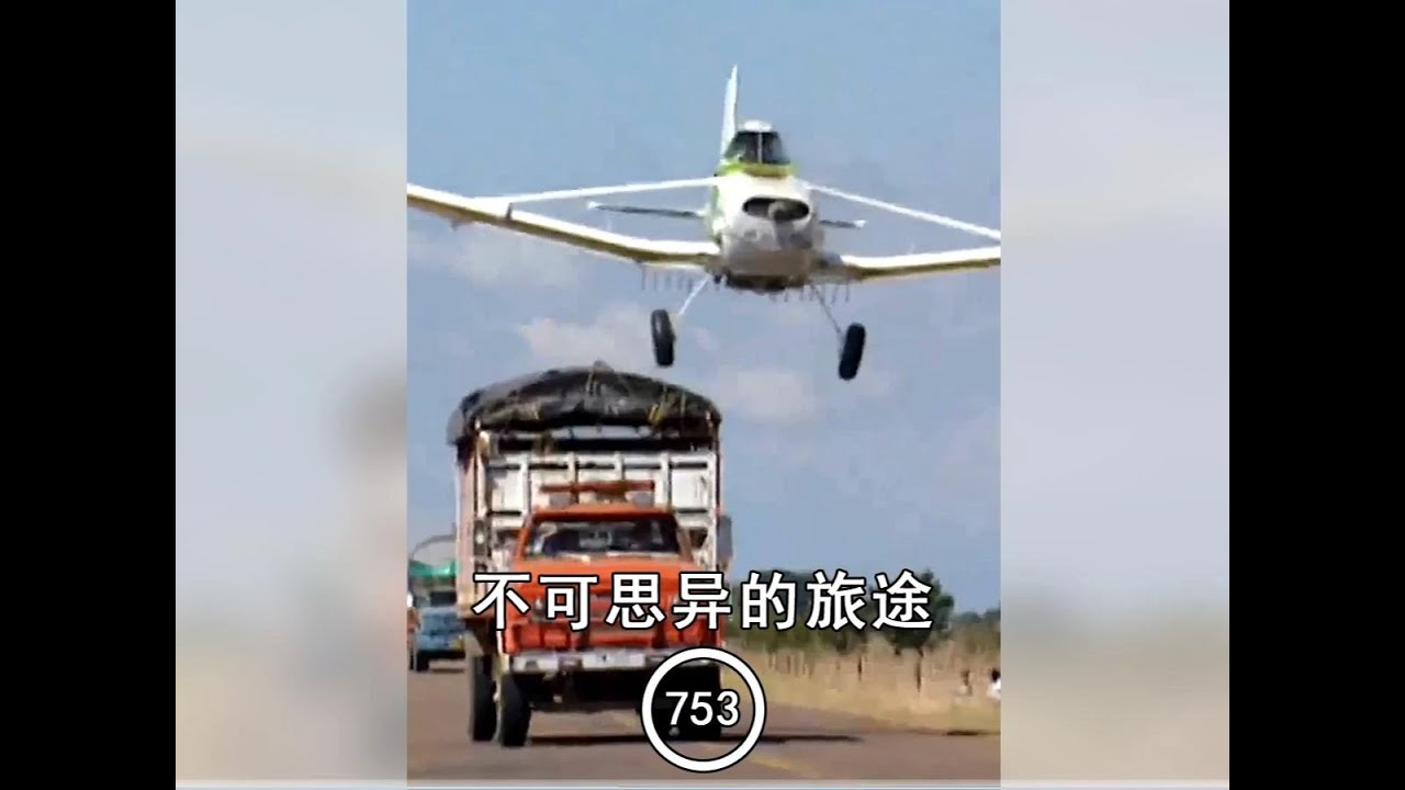 老虎與懶熊的生死搏殺 #紀錄片 #紀錄片解說 #動物世界