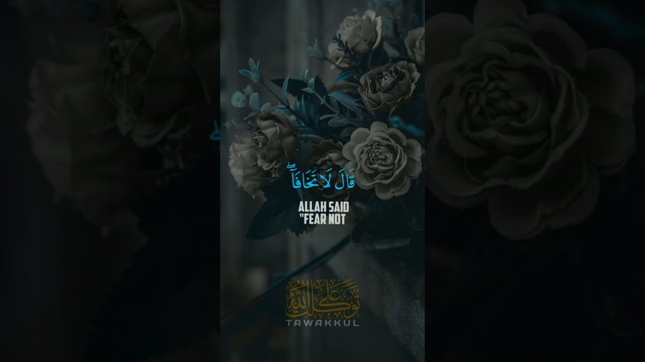 Fear Not #Quran