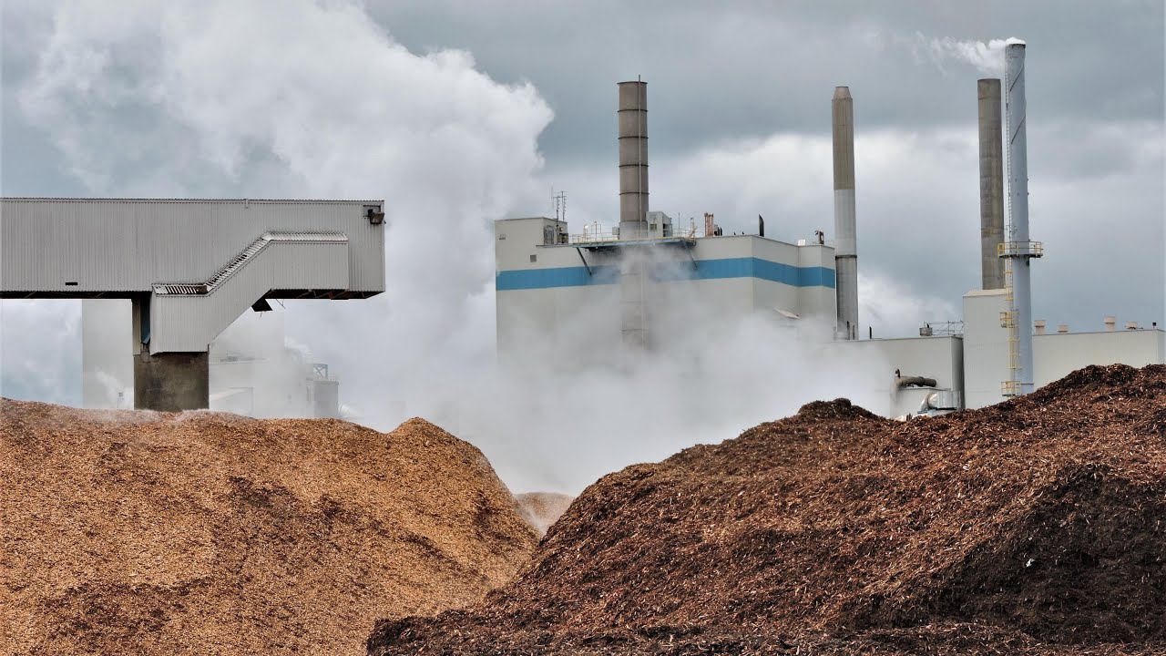 La semaine verte | Des résidus de papetière pour fertiliser des arbres