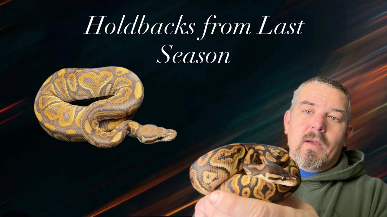 Our Holdbacks of 2025