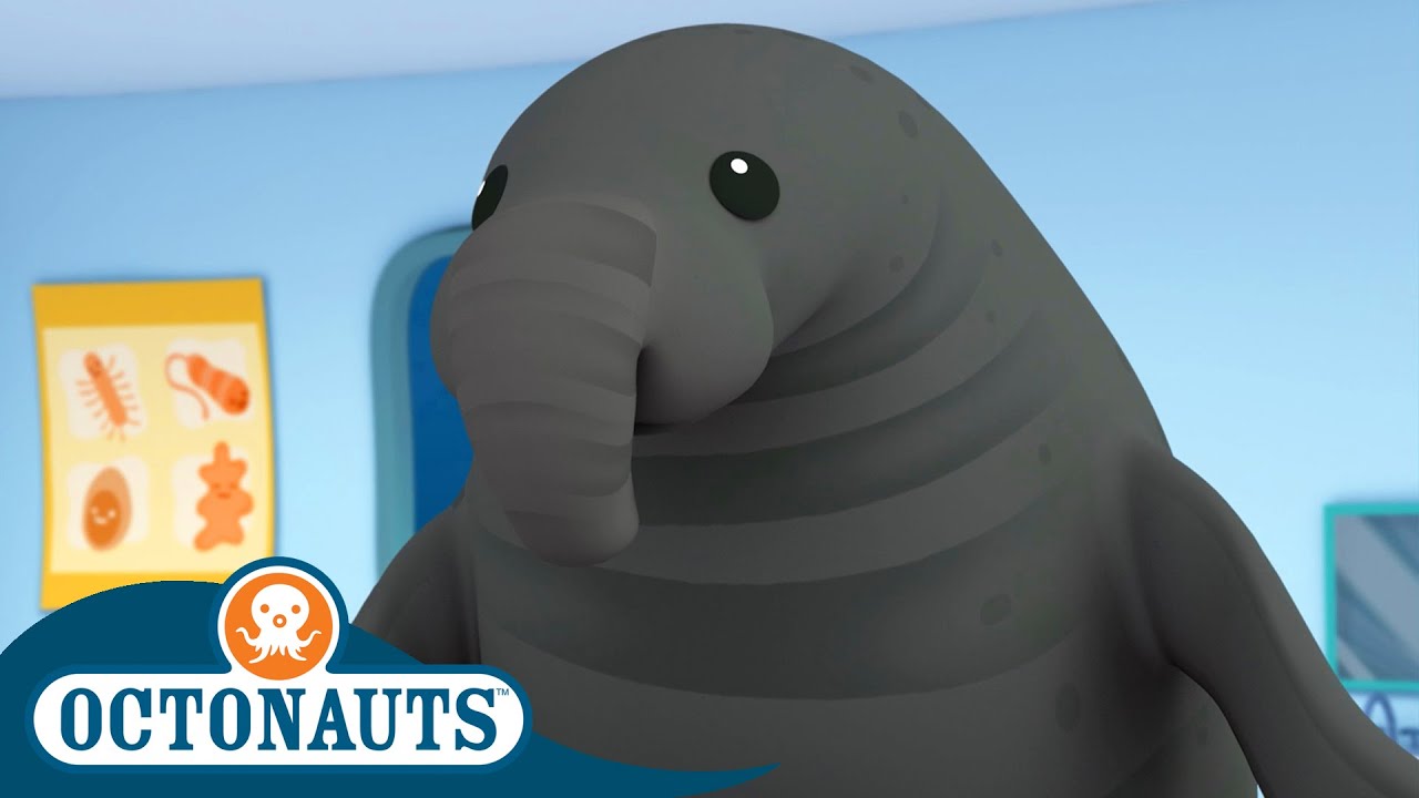 @Octonauts -  🐘 The Enormous Elephant Seal 🦭 | Season 1 | Full Episodes | Cartoons for Kids