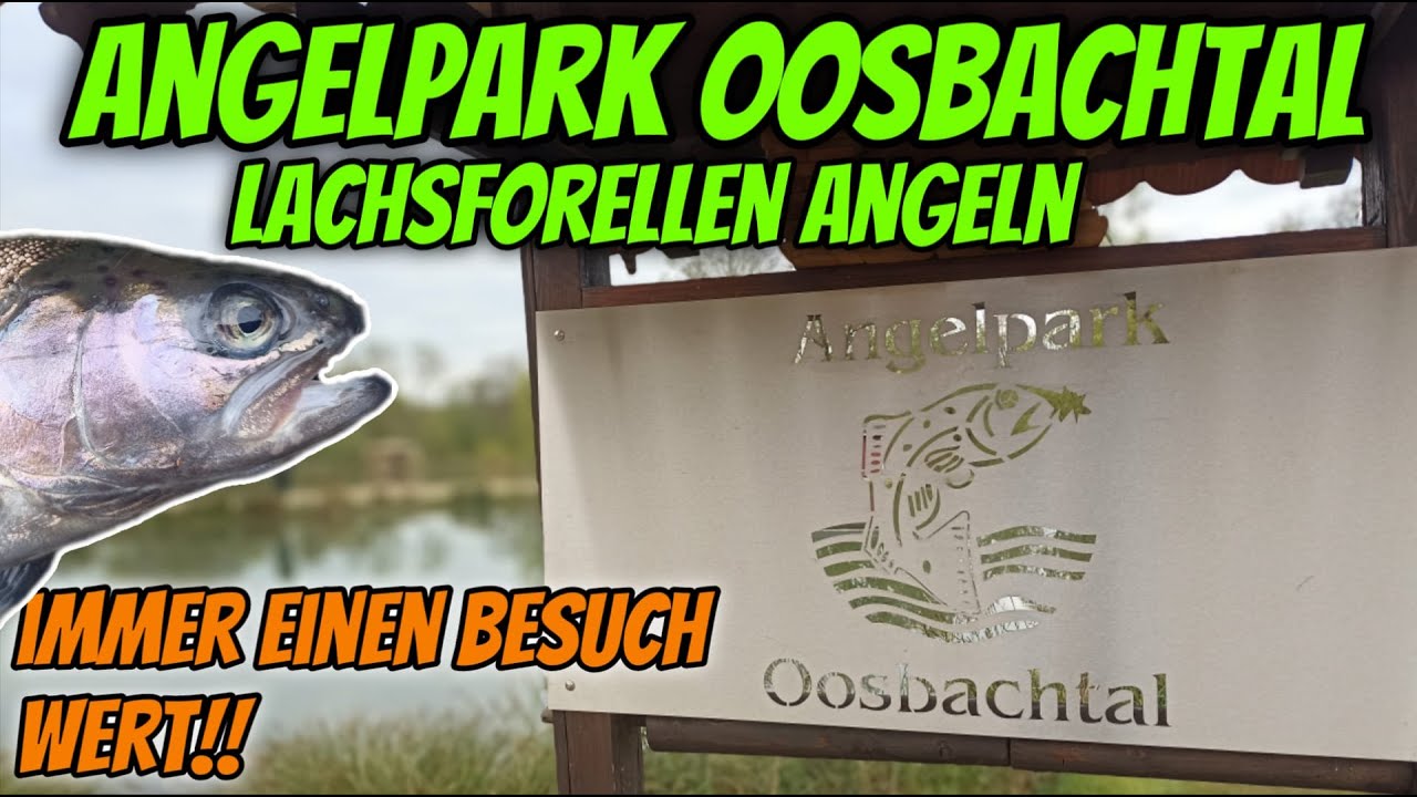 Angelpark Oosbachtal Lachsforellenangeln bei Schwierigen Bedingungen #forellenangeln #angeln #hobby