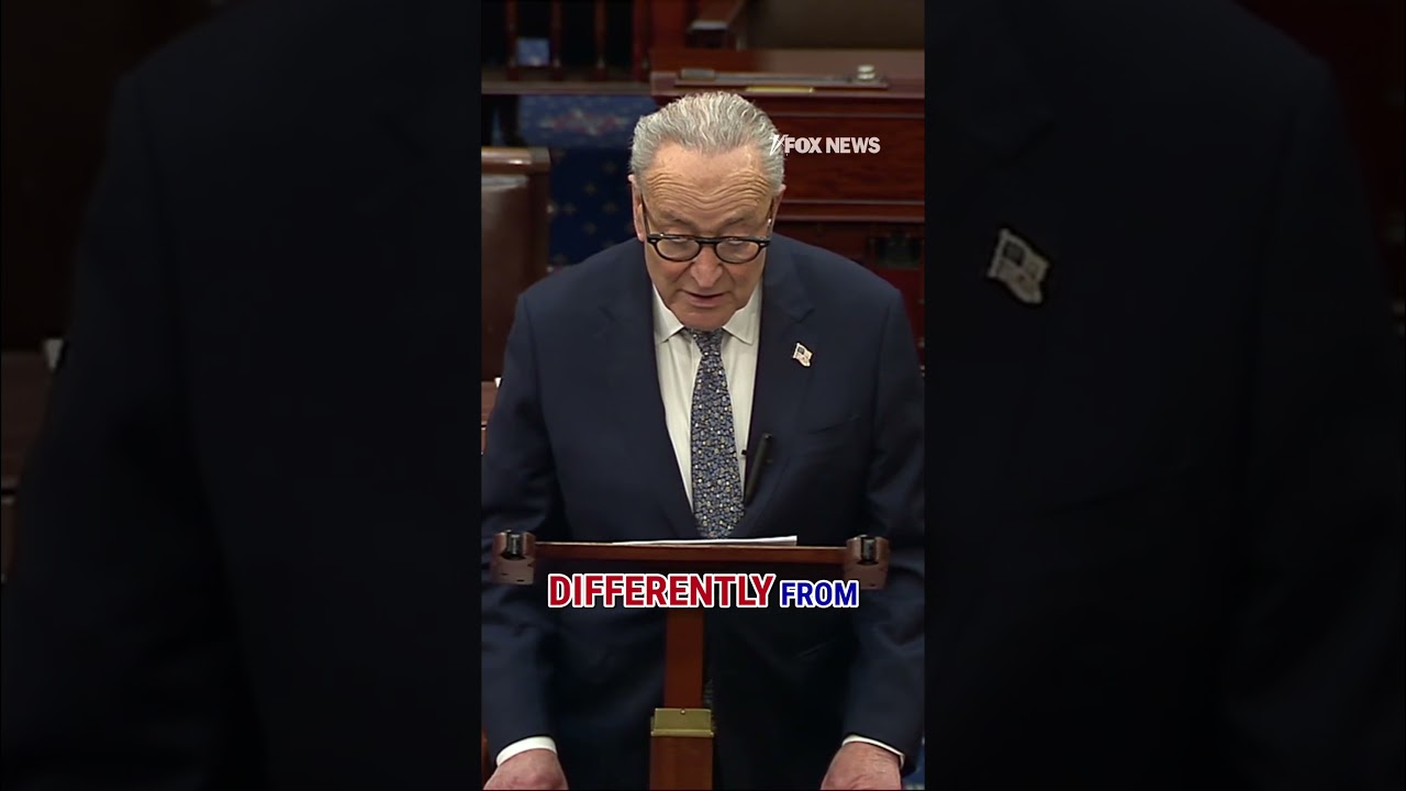 Schumer: They've arrested a journalist for the crime of doing his job