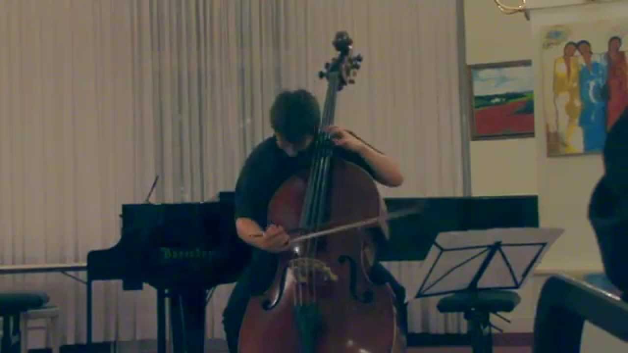 Peteris Vasks: Bass trip for double bass solo, Dominik Wagner