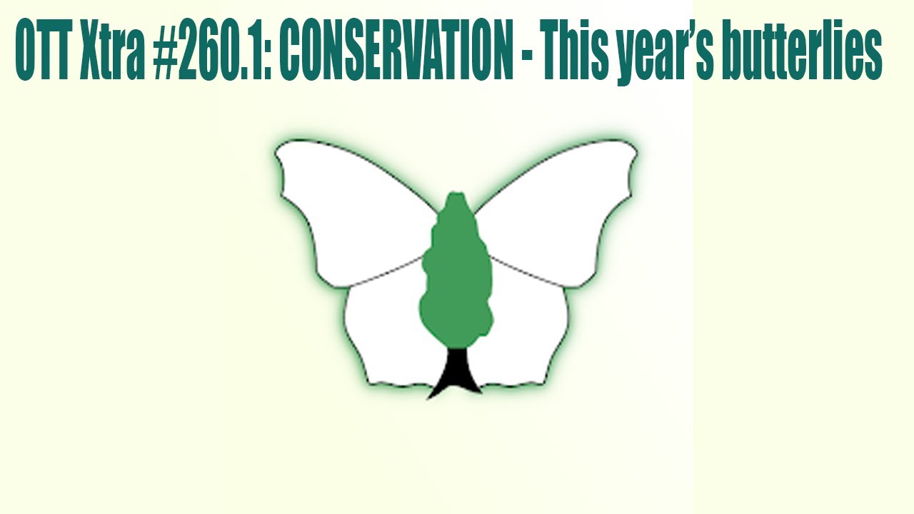 OTT Xtra #260.1: Butterfly Conservation 2023 Review