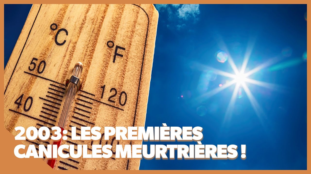 2003, l'année de 