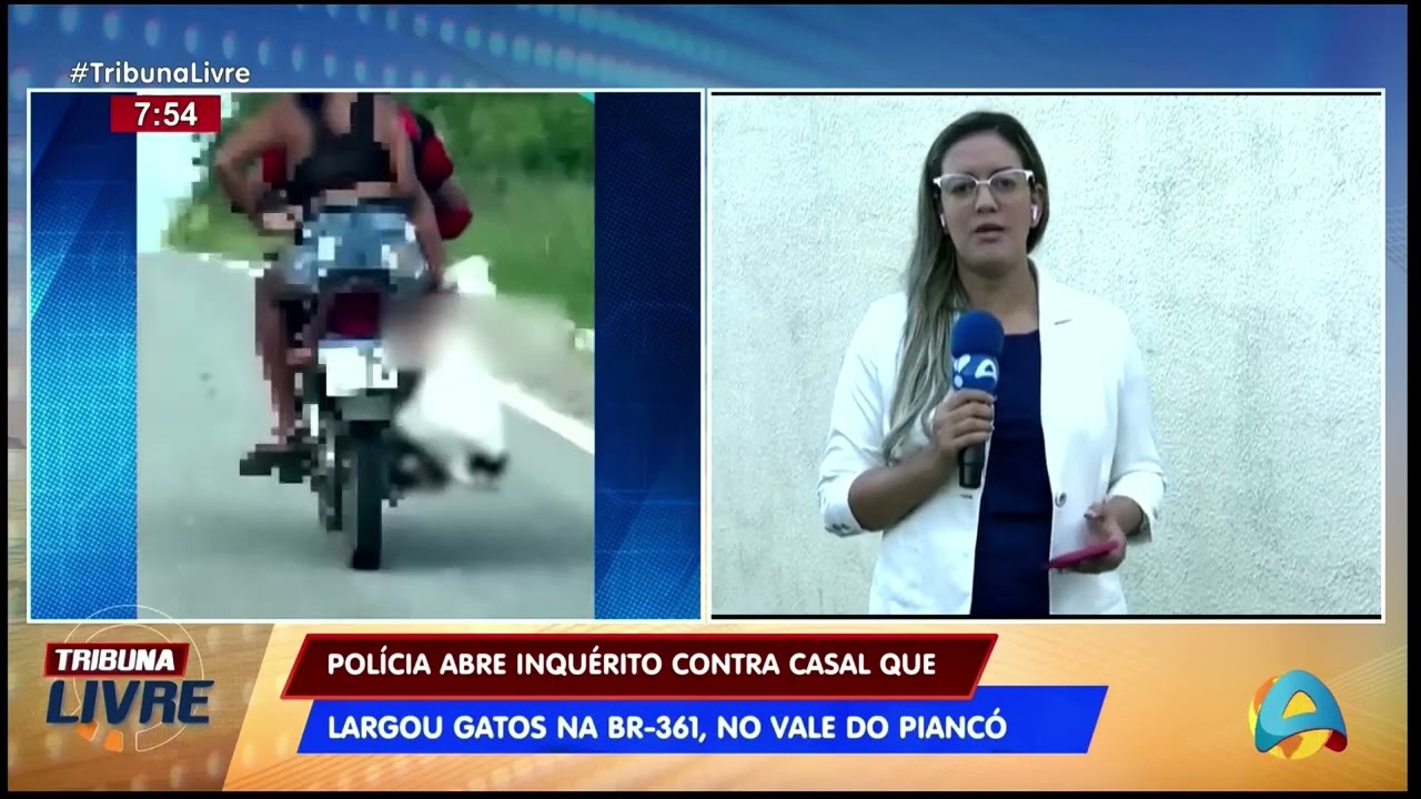 Tribuna Livre - Pol&iacute;cia abre inqu&eacute;rito contra casal que largou gatos na BR 361, no Vale do Pianc&oacute;