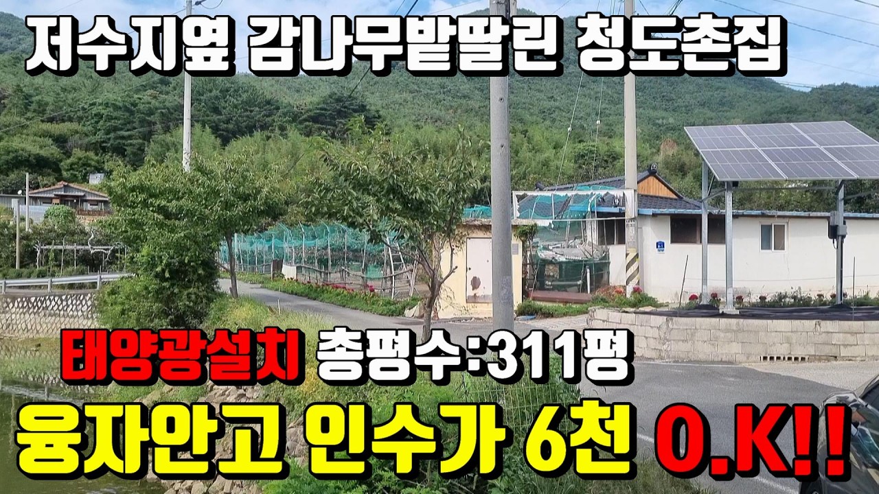 [No.40] 융자안고~6,000만 인수가능한 저수지품은 감나무밭과 태양광설치된 청도촌집매매 (311평)1억6,500만/영천부동산가이드/영천부동산
