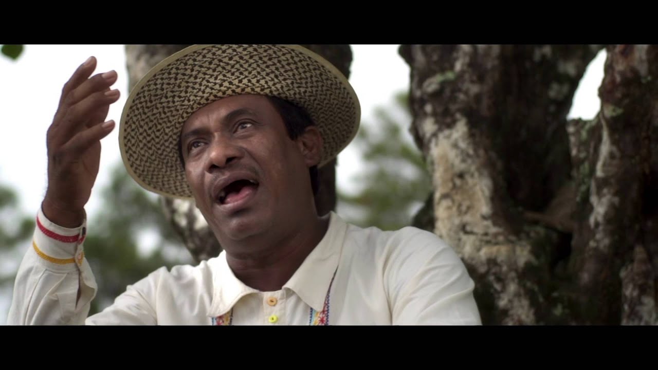 Rompiendo La Ola - Tano Mojica