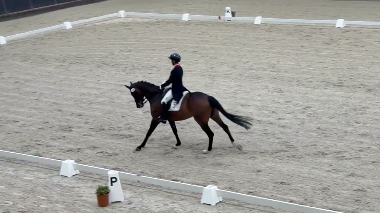全日本学生馬術競技大会2025　第68回全日本学生賞典馬場馬術競技大会　決勝　3年　砂川成弘　桜龍