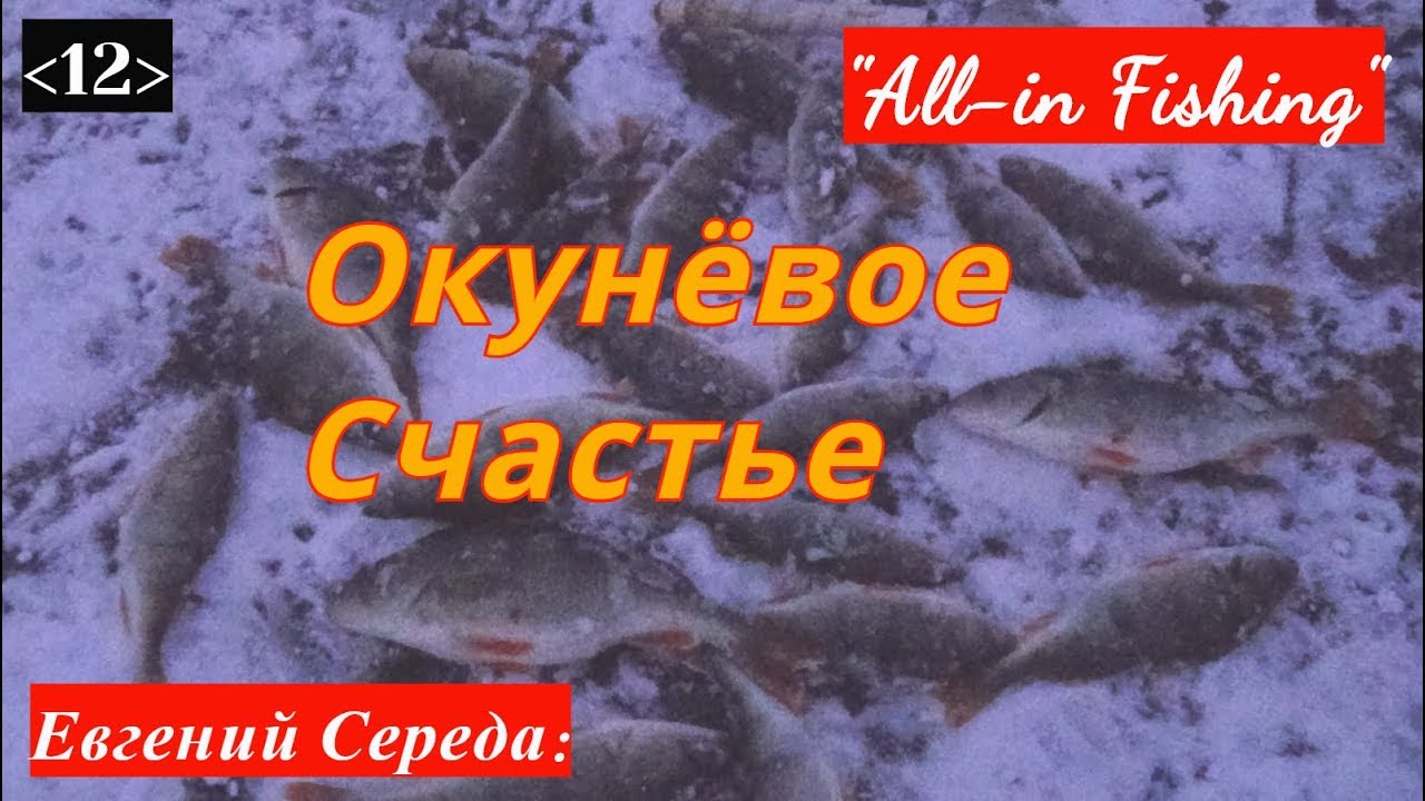 Окунёвое счастье. 