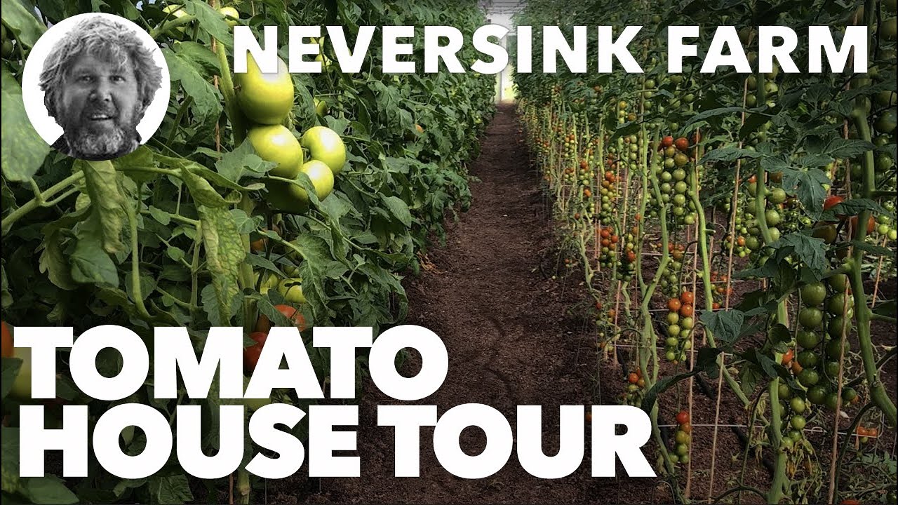 Tomato House Tour at Neversink Farm - 5/15/2020