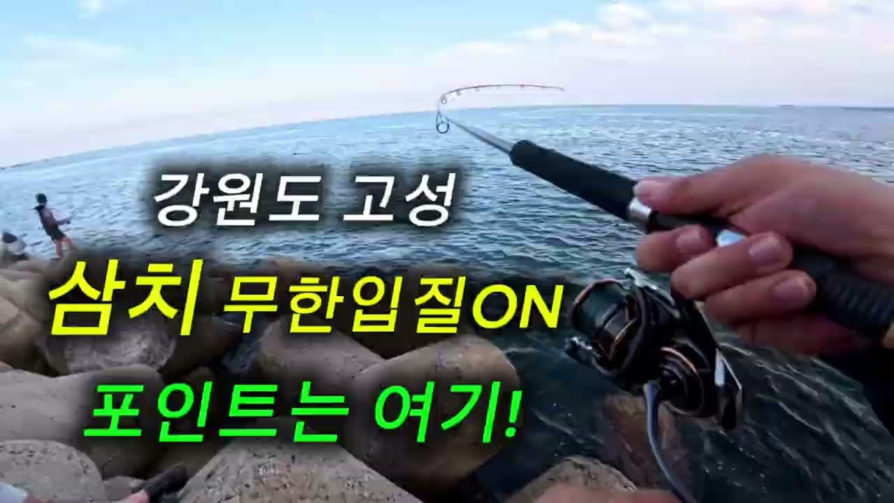 짬낚인데!?미친 삼치들의 미친 바이트!!!(친구들과 여행와서 손맛 보게하고 낚시 입문 시키기^^)