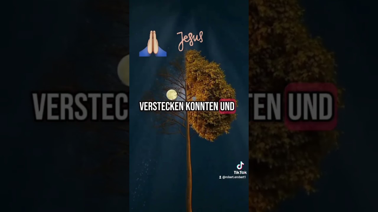 bibeltext bibel bibellehre #bibellesen #bibellehre