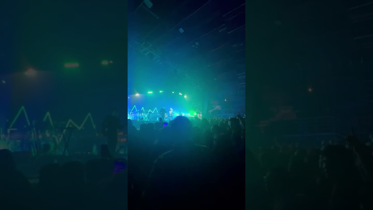 I CANI - Post Punk