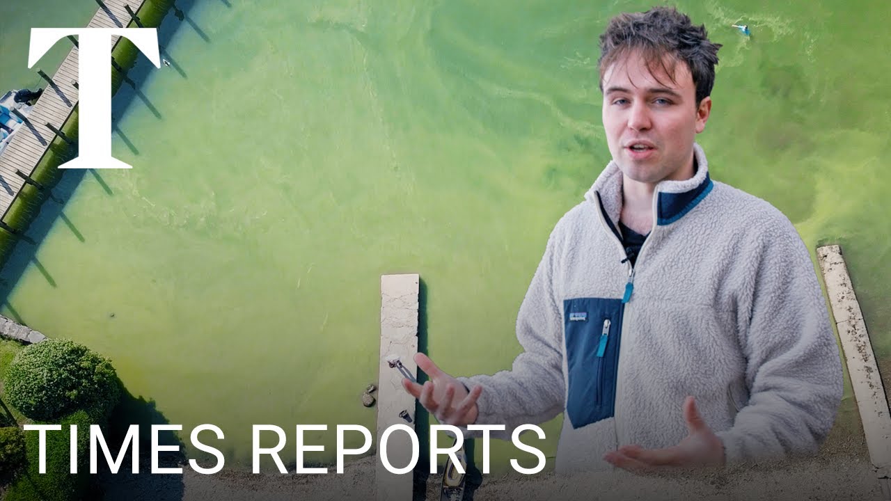 Saving Windermere: Raw sewage polluting England's largest lake | Times Reports