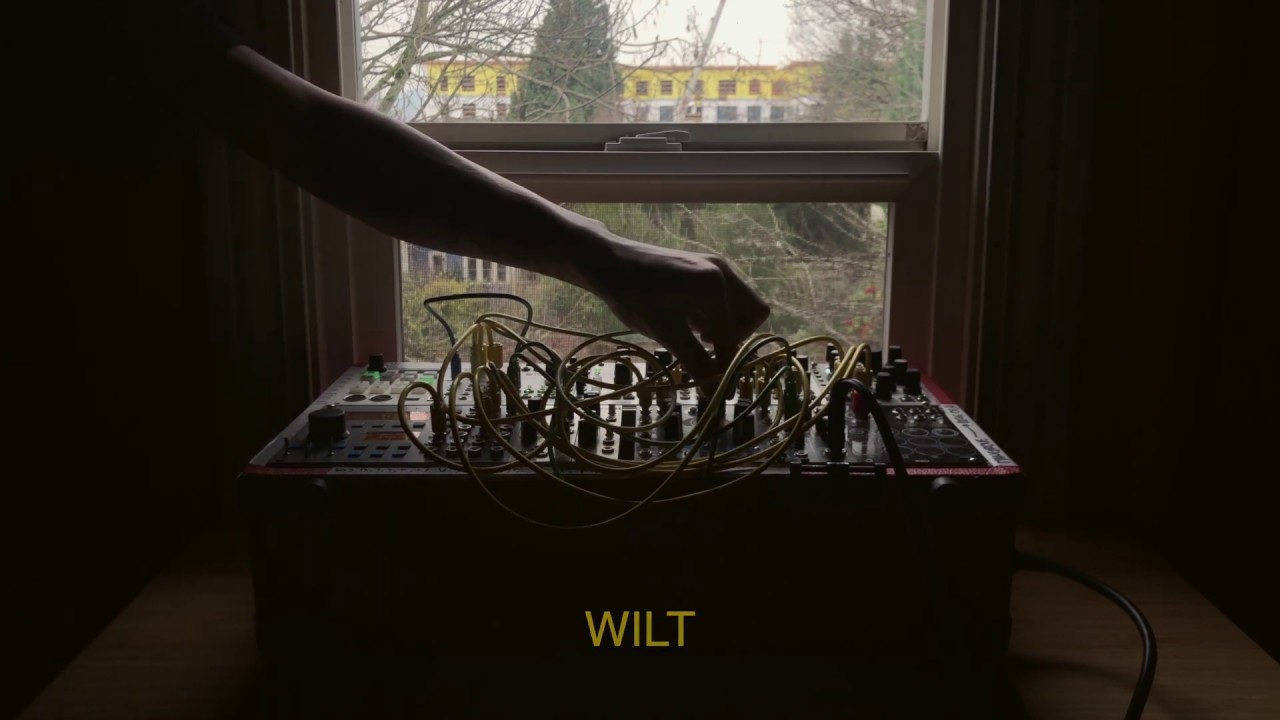 wilt // acid rain chainsaw, rings, er-301