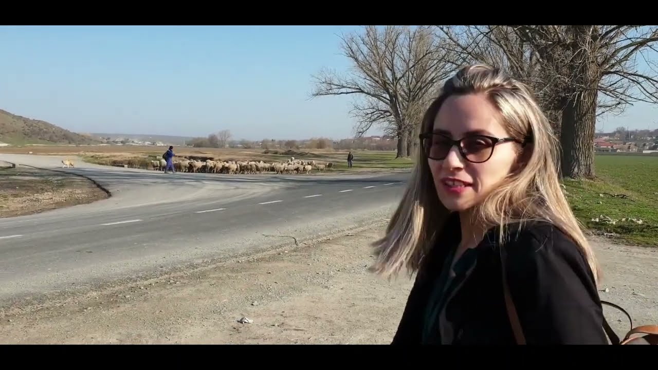 CHEILE DOBROGEI/DOBROGEA GORGES