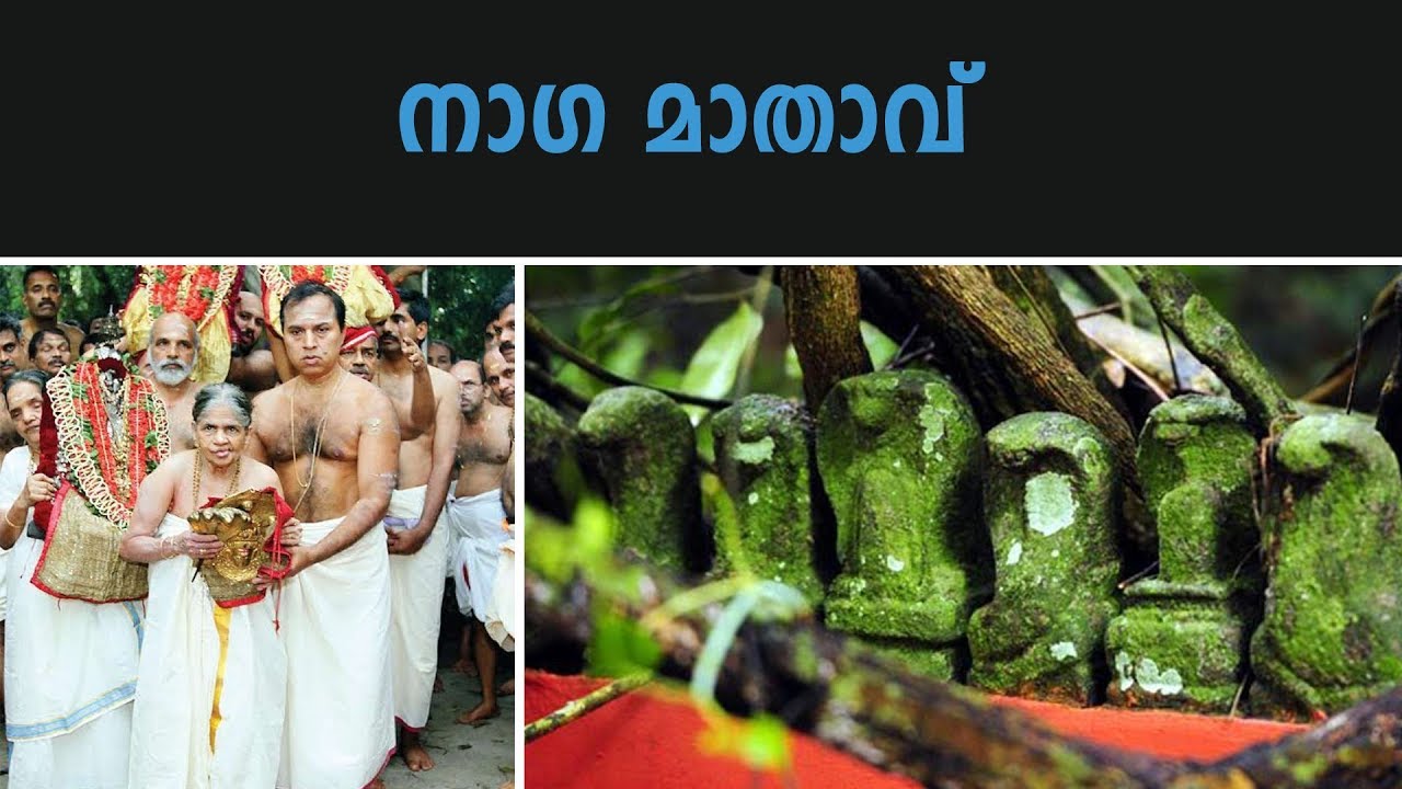മണ്ണാറശാല അമ്മയെക്കുറിച്ചറിയാൻ | Everything To Know About Mannarasala Amma