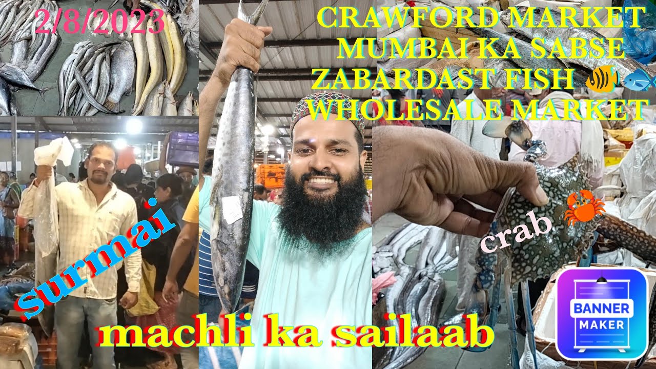 2/8/23 MUMBAI KASABSE ZABARDAST🐠FISH WHOLESALE MARKET AT CRAWFORDMARKET (ALL TYPE OF FISH AVAILABLE)