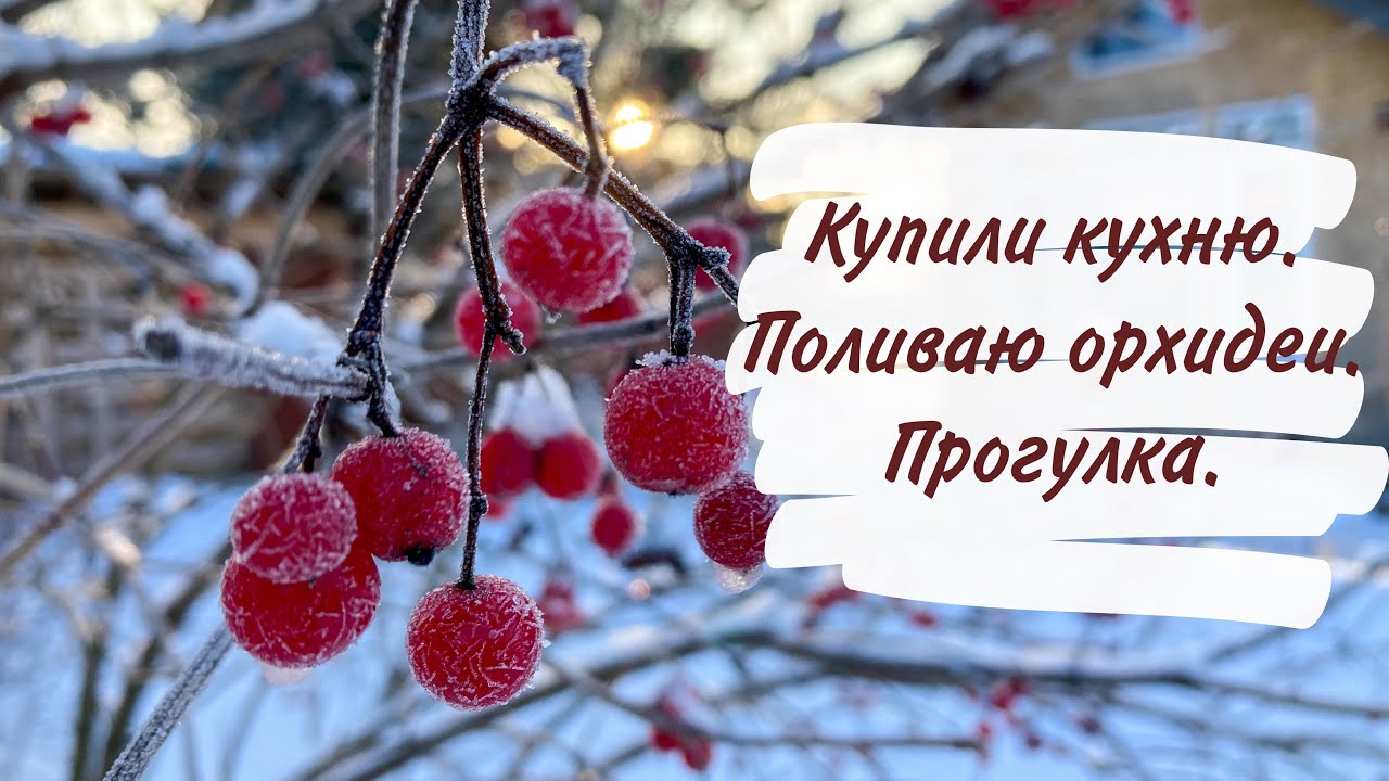 Переехали из города в медвежий угол.  Купили кухню. Поливаю орхидеи. Прогулка.