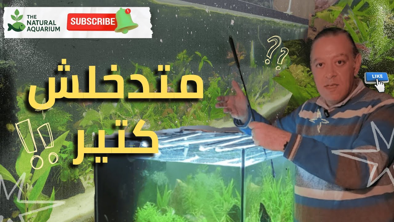 الحوض الطبيعي لسة جديد .. تتصرف ازاي