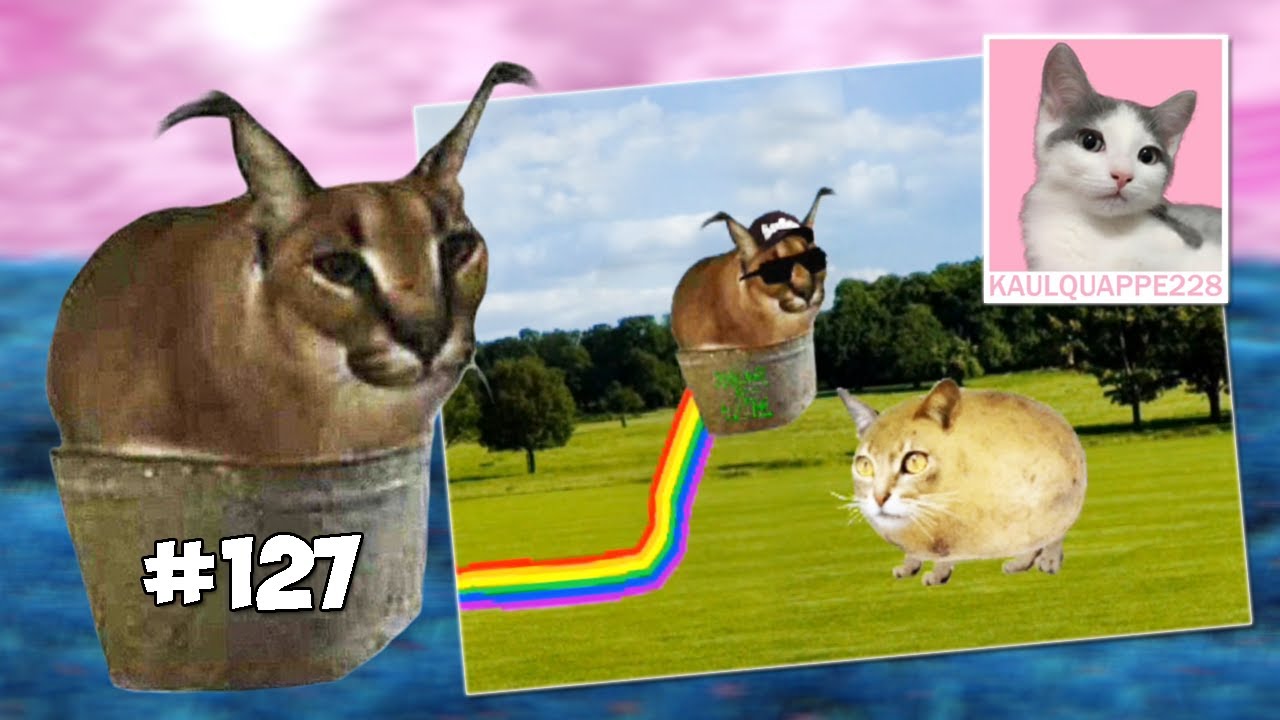 #127 ПОИГРАЕМ ► floppa.png на Android
