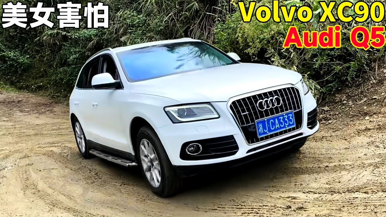 Красавица боится выйти из машины! Audi Q5, оснащенный quattro, успешно достиг вершины#Volvo #car