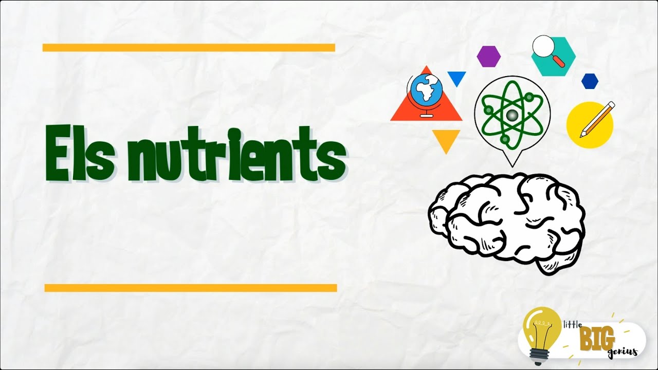 Els nutrients - Little Big Genius