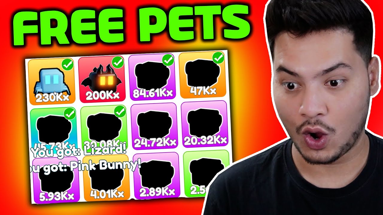 I Got the WORLD'S Most POWERFUL Pets for FREE - REBORN AS SWORDMAN - ROBLOX