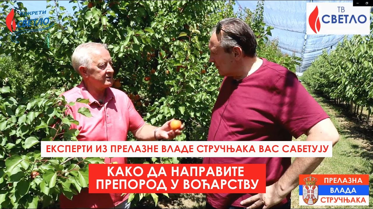 Branko Dragaš i prof. dr Zoran Keserović: KAKO DA NAPRAVITE PREPOROD U VOĆARSTVU?