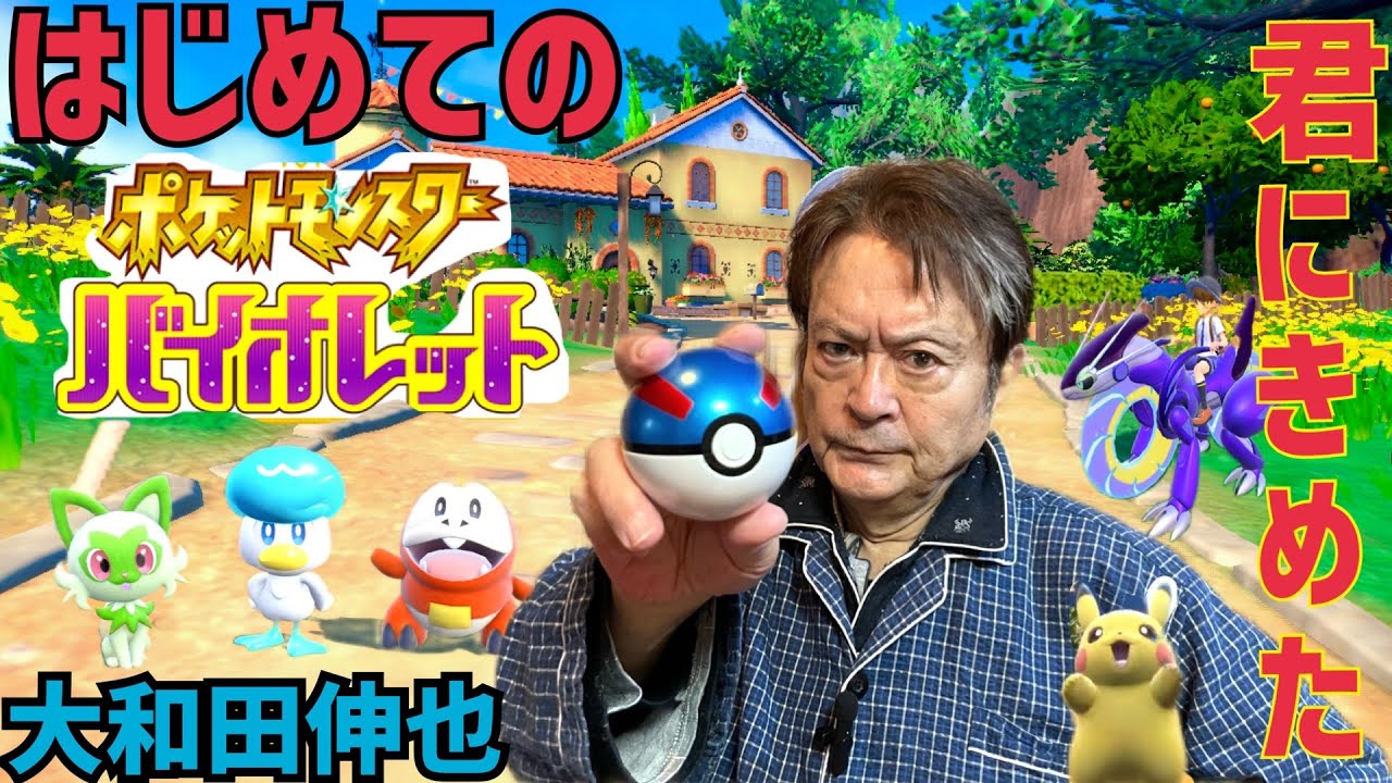 ポケモン初めての挑戦記