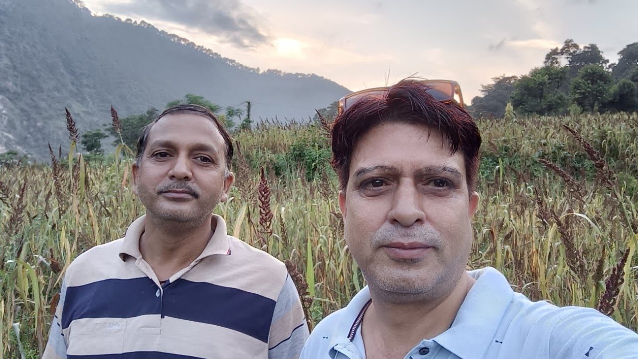 झंगोरा का खेत Barnyard millet Rudraprayag Uttarakhand 🌺🌳
