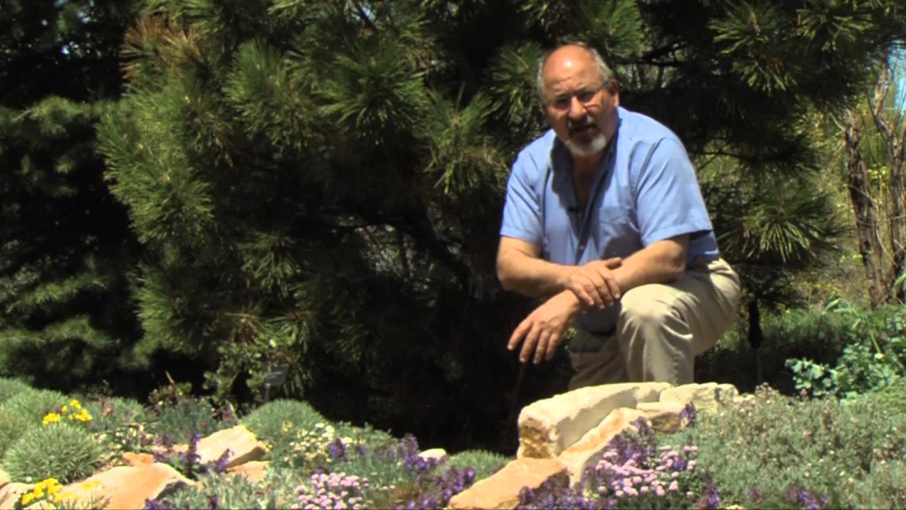 PK's Picks: Rock Alpine Garden