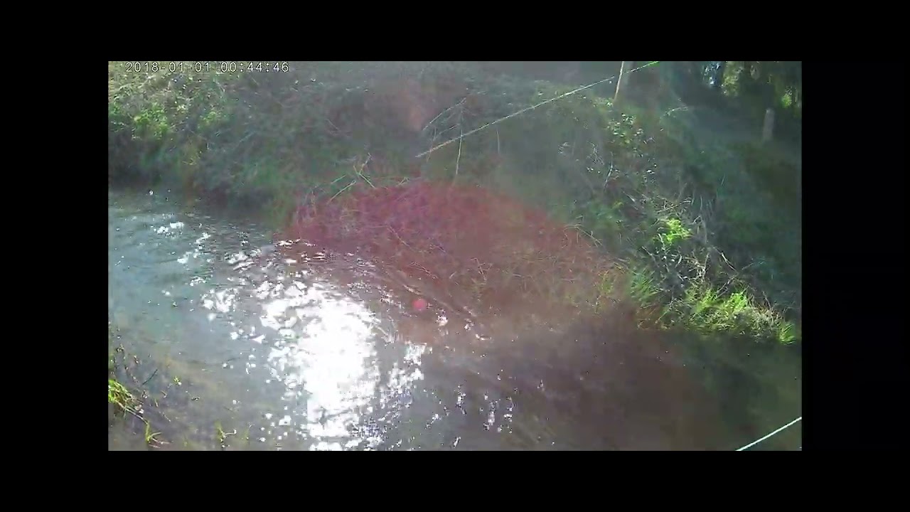 1st April at Albury Estates Fisheries