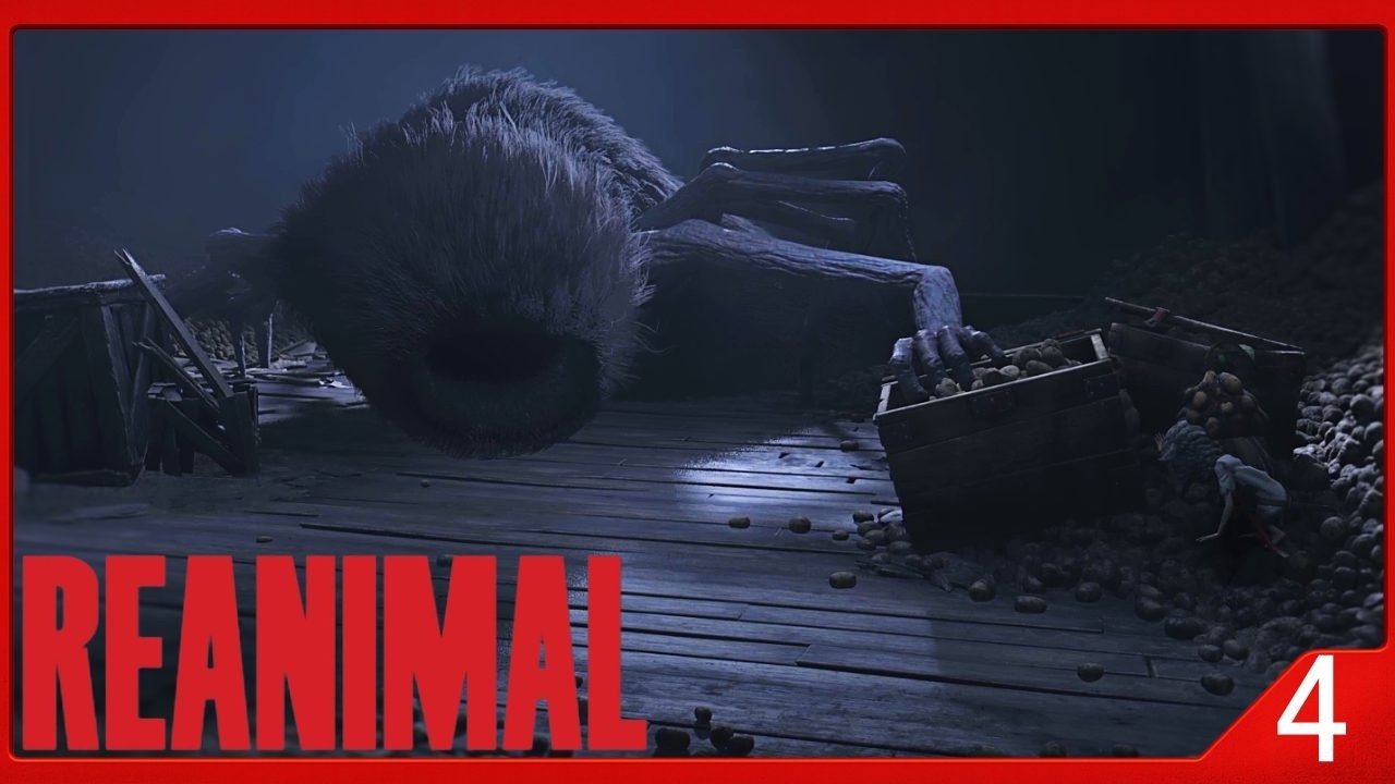 CIUDAD ARENA | REANIMAL | #4