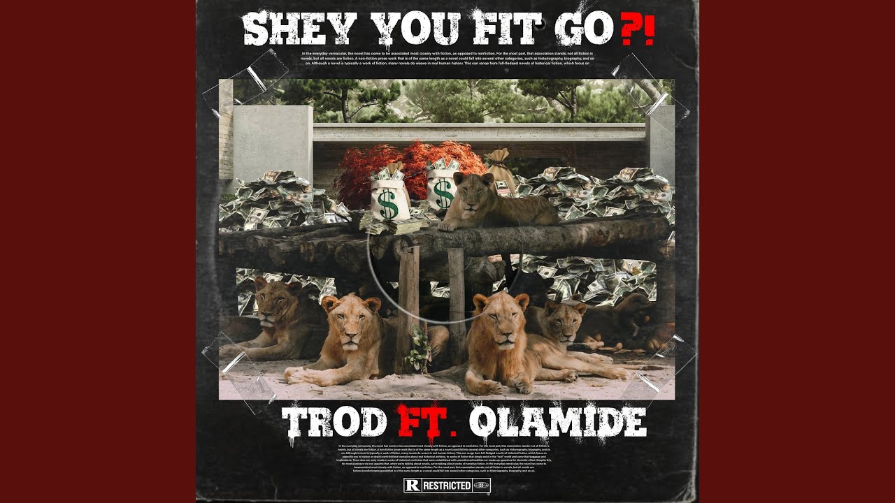 Shey You Fit Go?!